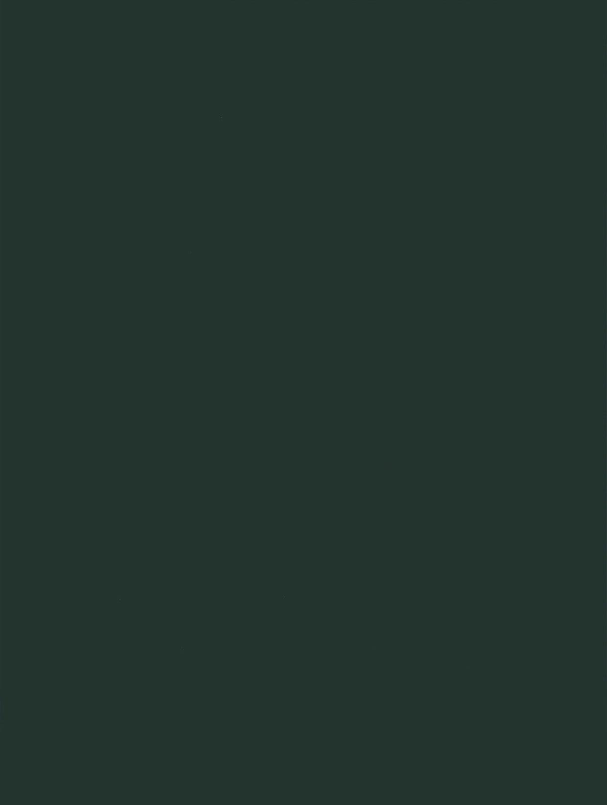Color-Silk | Farbdekor Soft Touch - Möbelfolie Selbstklebende Tapete Vinyl Folie für Möbel Wand Regal (100x122cm)