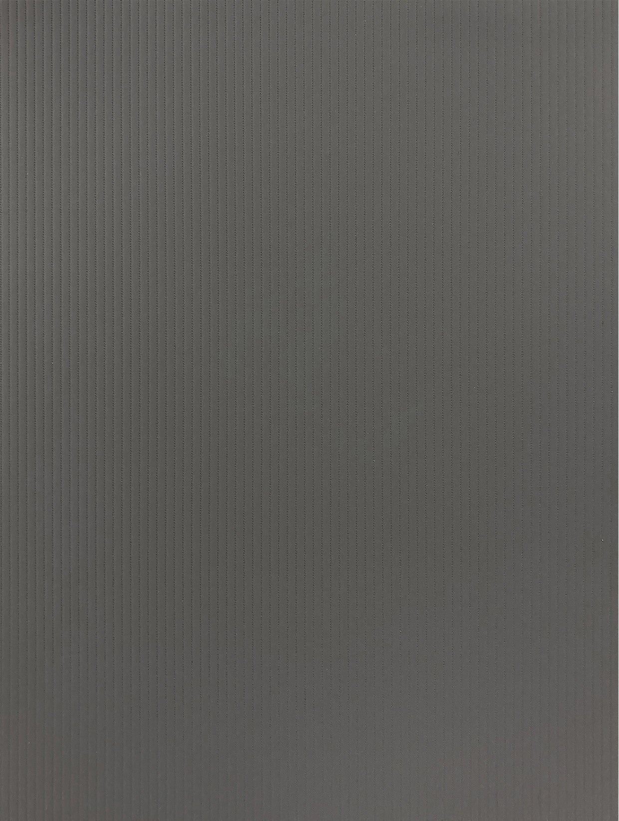 Color-Silk Prestige | Farbdekor Anti-Fingerprint - Möbelfolie Selbstklebende Tapete Vinyl Folie für Möbel Wand Regal (100x122cm)